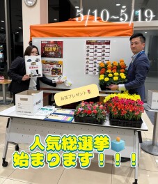 人気NO.1総選挙開催☆☆